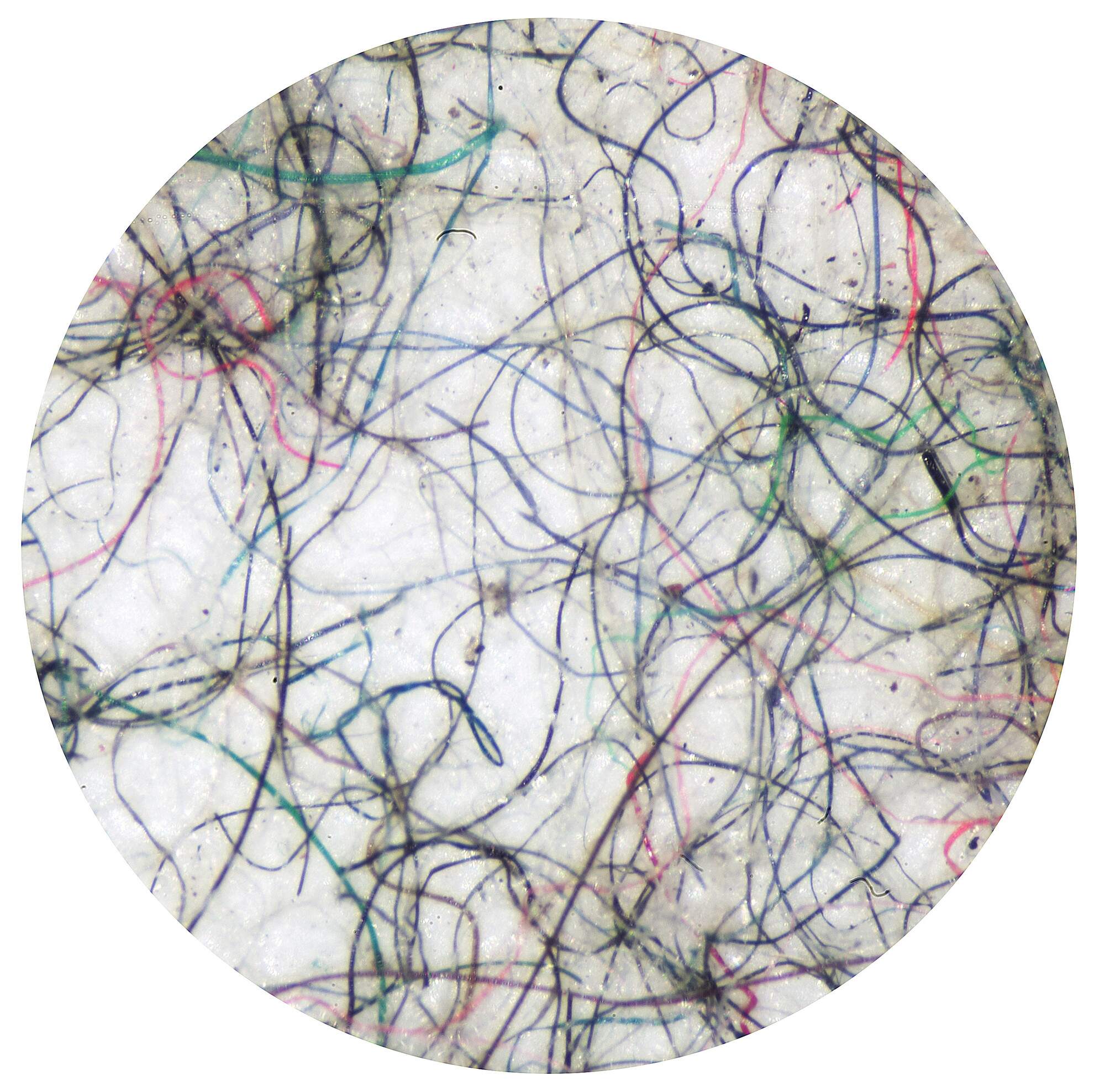 multi-colored threads randomly intermingling against a white backround, cropped into a circle