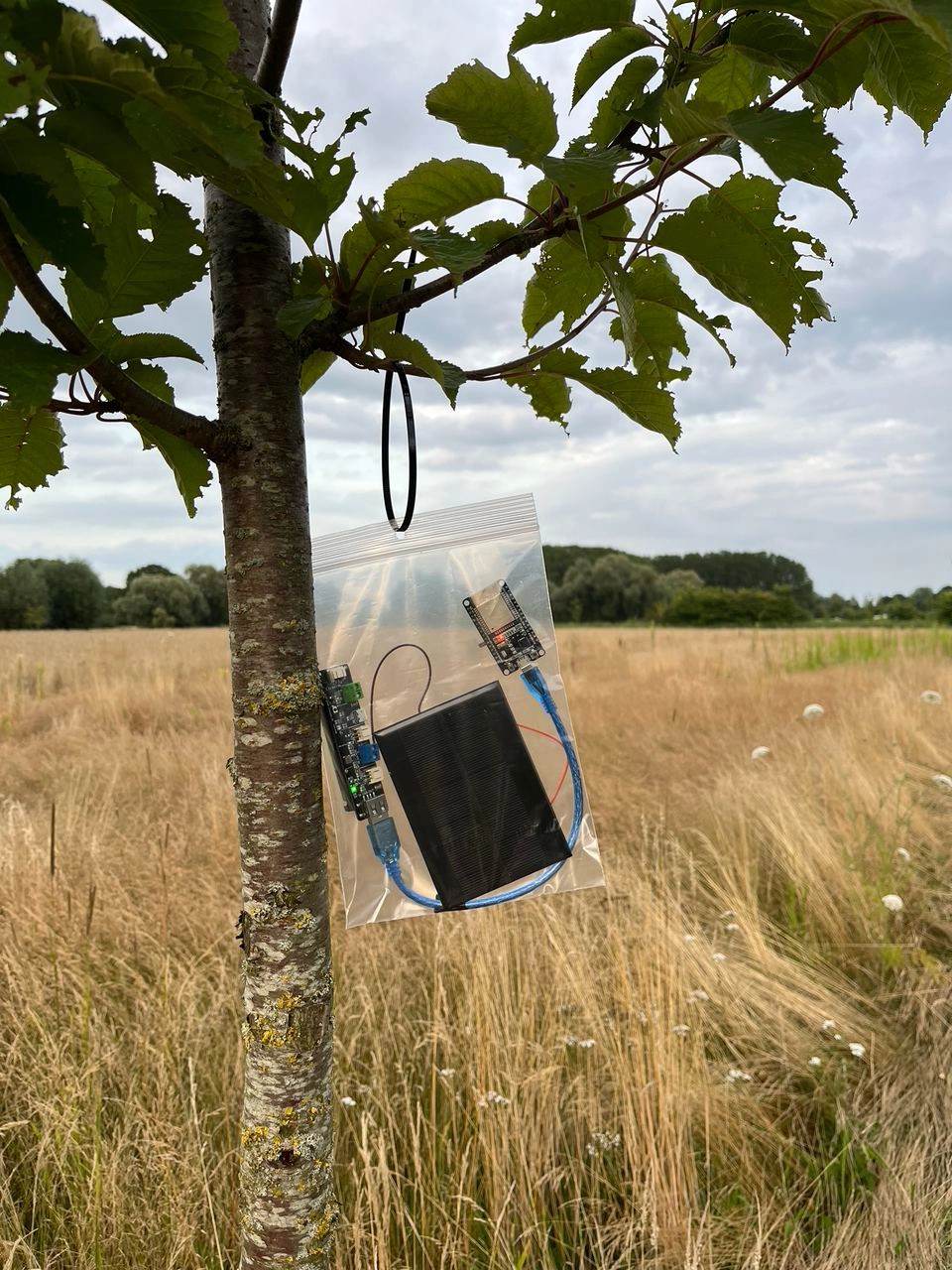 some physical computing devices inside a plastic bag which is tied to a tree